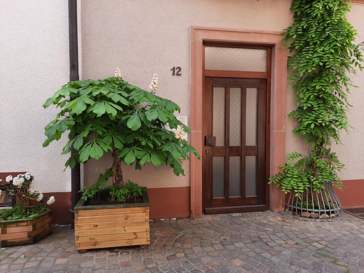 Apartment Alte Bahnhofstraße 12 *